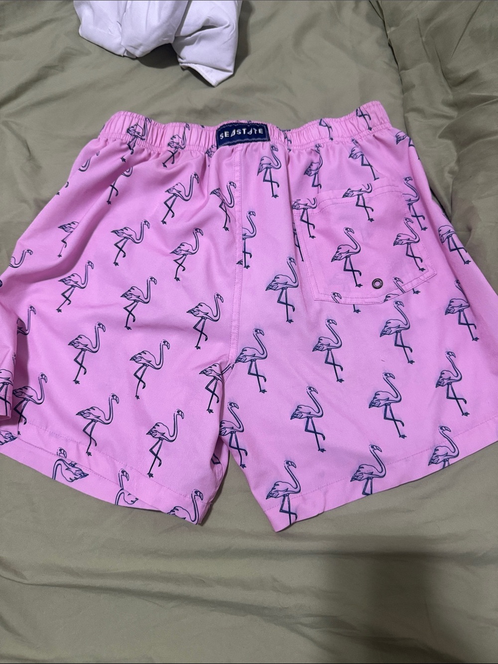 Easton Pink Flamingo Print Men’s Swim Trunks